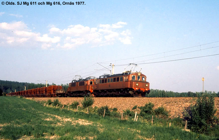 SJ Mg 611 SJ Mg 611