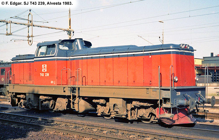 SJ T43 239 SJ T43 239